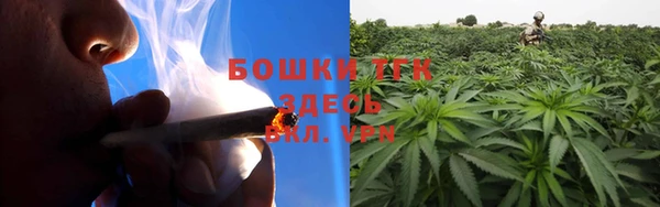 мяу мяу мука Михайлов