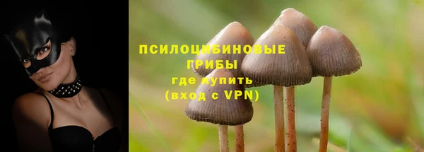 мяу мяу мука Михайлов
