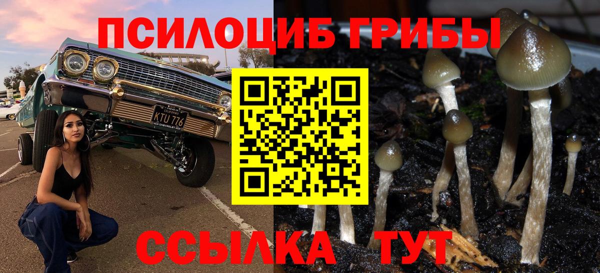 Галлюциногенные грибы Psilocybine cubensis  Вход с VPN  Зима 